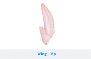 11 WingTip