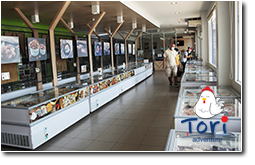 ToriShop1