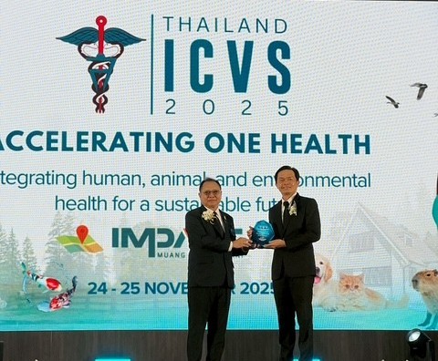 ICVS